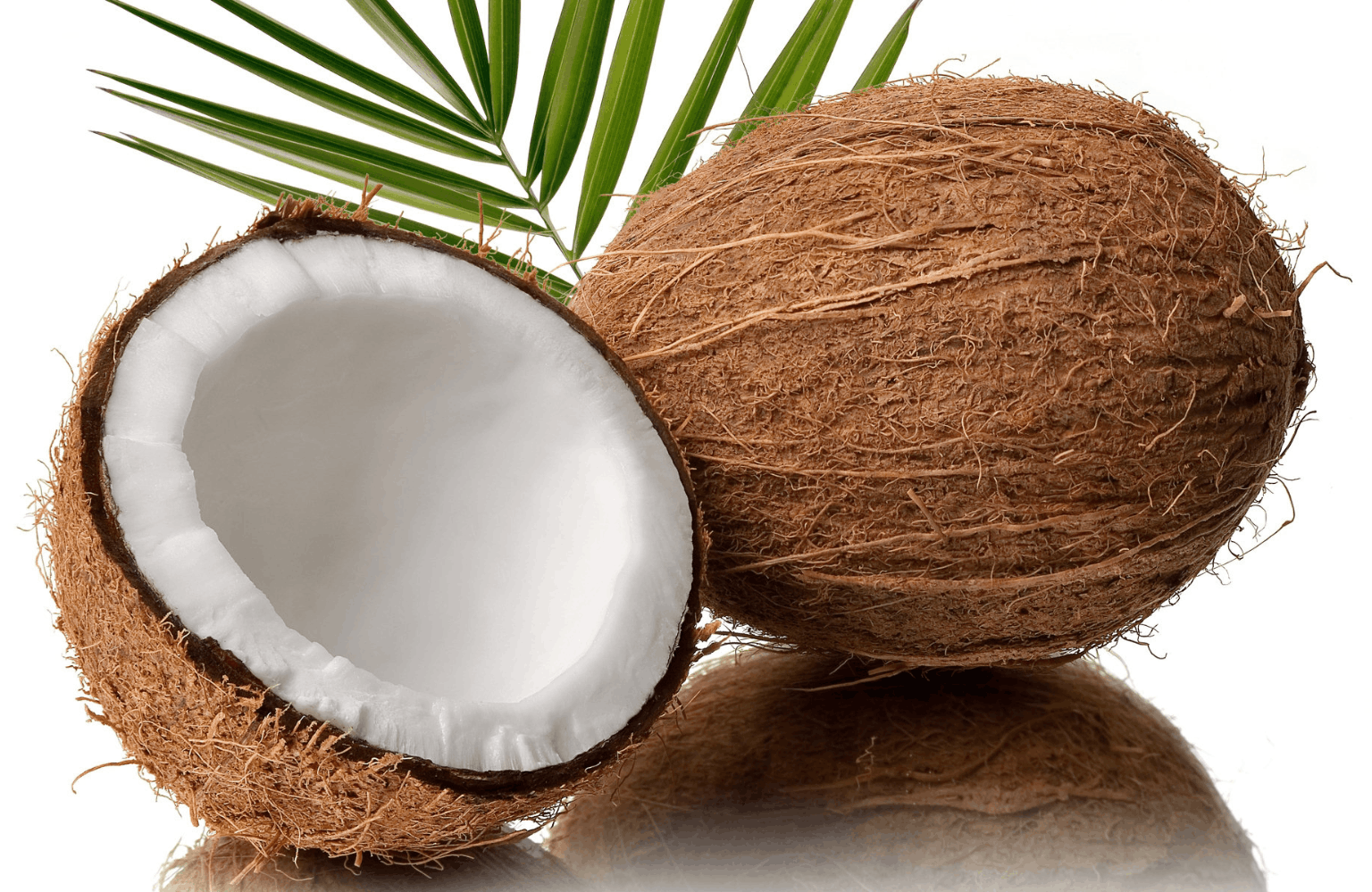 Coconut