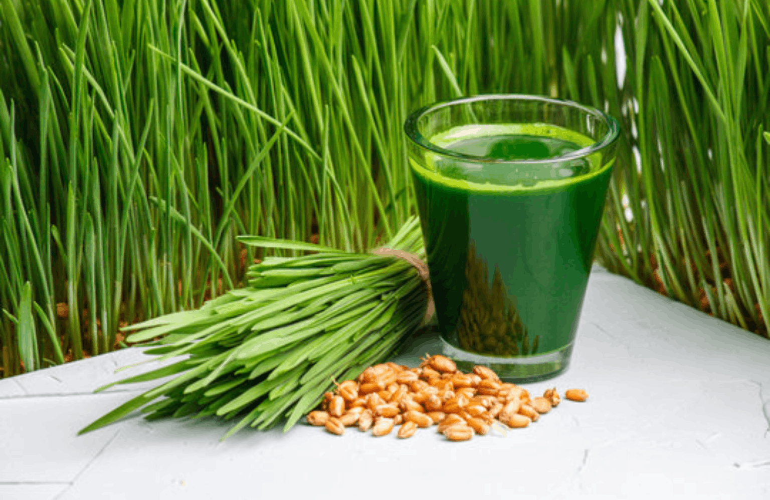 Wheatgrass