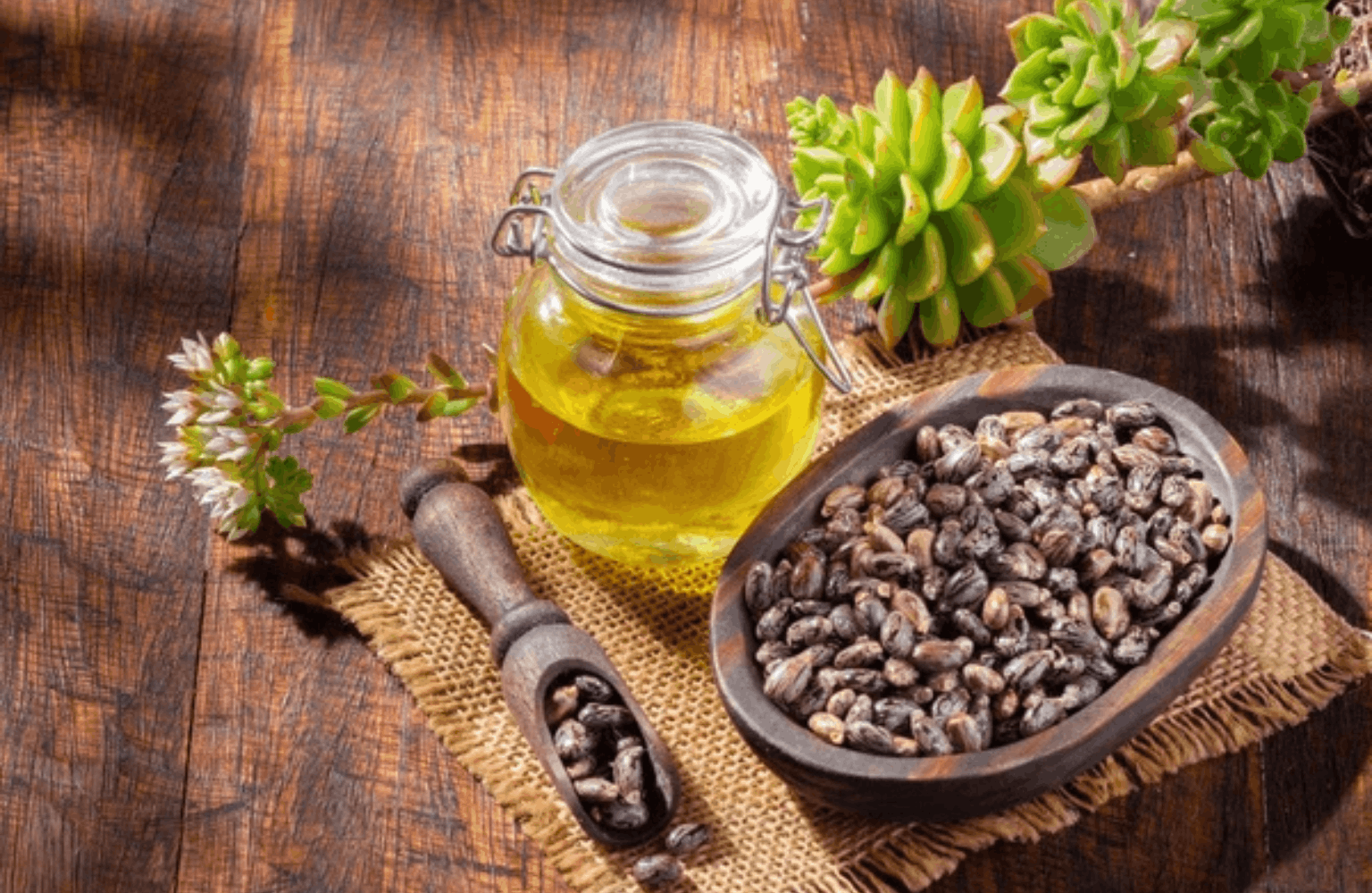 Castor Oil