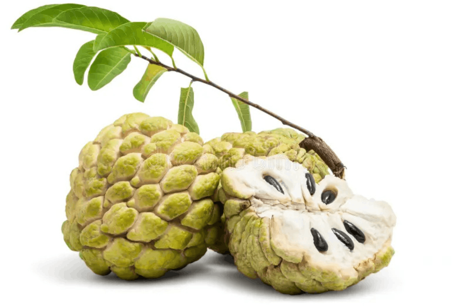 Atis